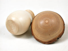 LV-3315  Holly & Golden Rain Wooden Mushroom Keepsake Box, Pill, Jewelry Box-SCREW CAP