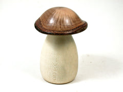 LV-3647  Holly & Live Oak Wooden Mushroom Trinket Box, Pill, Jewelry Box-SCREW CAP