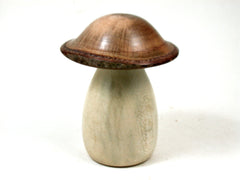 LV-3647  Holly & Live Oak Wooden Mushroom Trinket Box, Pill, Jewelry Box-SCREW CAP