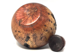 LV-4379  Manzanita Burl, Black Walnut and Manzanita wood cap-Threaded