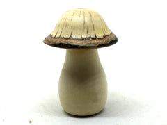 LV-4949 American Holly & Canyon Live Oak Wooden Mushroom Keepsake Box, Pill, Jewelry Box-THREADED
