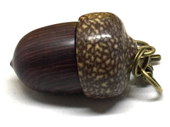 LV-4980 Camatillo & Betelnut Acorn Pendant Box, Charm, Pill Holder-SCREW CAP