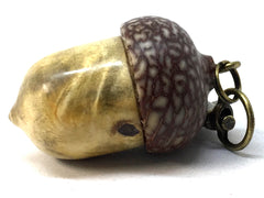 LV-4981 Buckeye Burl & Betelnut Acorn Pill Box, Pendant Box-SCREW CAP