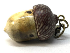 LV-4981 Buckeye Burl & Betelnut Acorn Pill Box, Pendant Box-SCREW CAP