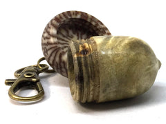LV-4981 Buckeye Burl & Betelnut Acorn Pill Box, Pendant Box-SCREW CAP