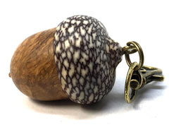 LV-4982 Brown Mallee Burl & Betelnut Acorn Box, Pill Holder, Compartment Pendant-SCREW CAP