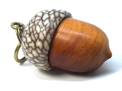 LV-4984 Sappanwood & Betelnut Acorn Pendant Box, Charm, Pill Holder-SCREW CAP