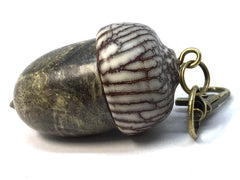 LV-4985 Buckeye Burl & Betelnut Acorn Pill Box, Pendant Box-SCREW CAP