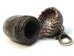 LV-4985 Buckeye Burl & Betelnut Acorn Pill Box, Pendant Box-SCREW CAP