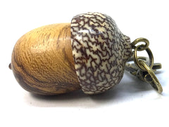 LV-4989 Desert Ironwood & Betelnut Acorn Pendant Box, Charm, Pill Holder-SCREW CAP