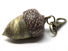 LV-5004 Buckeye Burl & Betelnut Acorn Pill Box, Pendant Box-SCREW CAP