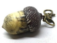 LV-5012 Buckeye Burl & Betelnut Acorn Pill Box, Pendant Box-SCREW CAP