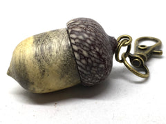 LV-5012 Buckeye Burl & Betelnut Acorn Pill Box, Pendant Box-SCREW CAP