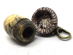 LV-5012 Buckeye Burl & Betelnut Acorn Pill Box, Pendant Box-SCREW CAP