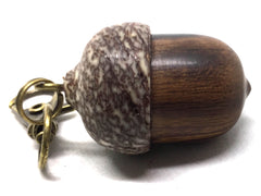 LV-5013 Desert Ironwood & Betelnut Acorn Pendant Box, Charm, Pill Holder-SCREW CAP