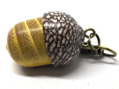 LV-5023 Osage Orange & Betel Nut Acorn Pendant Box, Keychain, Pill Fob-SCREW CAP