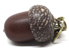 LV-5051 Manzanita & Betelnut Acorn Pendant Box,Bag Charm, Keychain-SCREW CAP