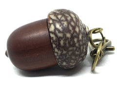 LV-5051 Manzanita & Betelnut Acorn Pendant Box,Bag Charm, Keychain-SCREW CAP