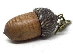 LV-5071 Curly Koa & Betelnut Acorn Pendant Box, Charm, Keychain-SCREW CAP