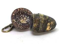 LV-5077 Buckeye Burl & Betelnut Acorn Pill Box, Pendant Box-SCREW CAP