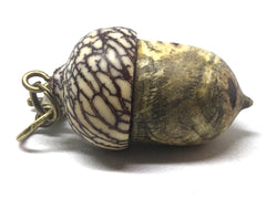 LV-5110 Buckeye Burl & Betelnut Acorn Pill Box, Pendant Box-SCREW CAP