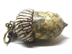 LV-5110 Buckeye Burl & Betelnut Acorn Pill Box, Pendant Box-SCREW CAP