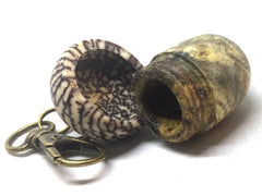 LV-5110 Buckeye Burl & Betelnut Acorn Pill Box, Pendant Box-SCREW CAP