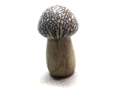 LV-5121 Canyon Live Oak & Betel Nut Mushroom Secret Compartment, Pill Holder-SCREW CAP