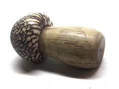LV-5121 Canyon Live Oak & Betel Nut Mushroom Secret Compartment, Pill Holder-SCREW CAP