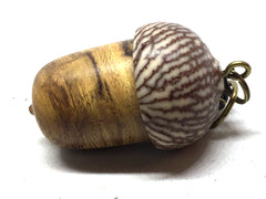 LV-5147 Desert Ironwood & Betelnut Acorn Pendant Box, Charm, Pill Holder-SCREW CAP