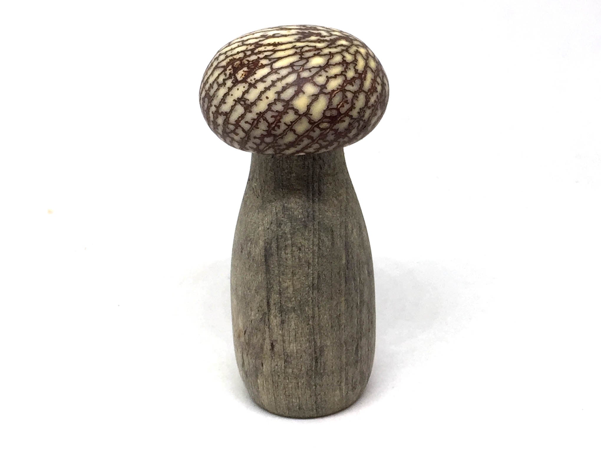 LV-5152 Betel Nut with California Buckeye Mushroom Pill Holder, Needlecase-THREADED CAP