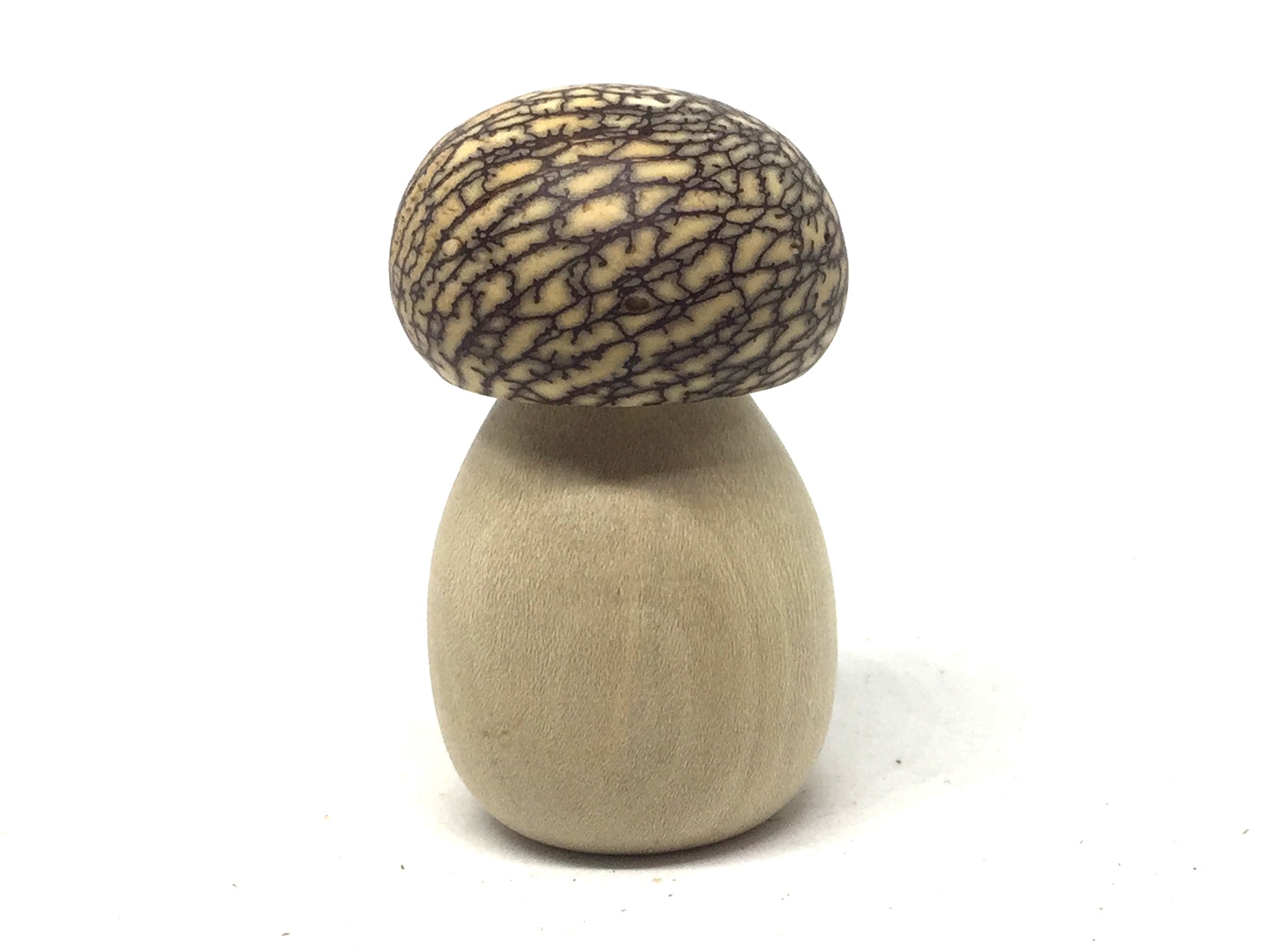 LV-5179 American Holly & Betel Nut Mushroom Secret Compartment, Pill Holder-SCREW CAP
