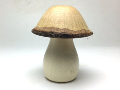 LV-5213 Canyon Live Oak cap & American Holly stalk Mushroom Threaded Box