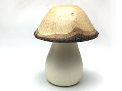 LV-5213 Canyon Live Oak cap & American Holly stalk Mushroom Threaded Box