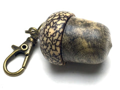LV-5270 California Buckeye & Betelnut Acorn Pill Box, Pendant Box-SCREW CAP