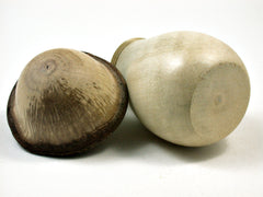 LV-1843 Holly & Live Oak Wooden Mushroom Trinket Box, Pill, Threaded Jewelry Box-SCREW CAP