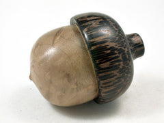 LV-3361 Bay Laurel Burl & Black Palm Acorn Jewelry, Ring Box, Pill Box-SCREW CAP
