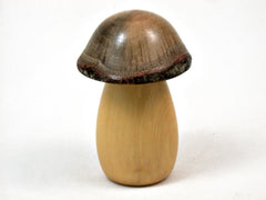 LV-3462 French Boxwood & Live Oak Mushroom Threaded Box, Pill Holder, Secret Compartment