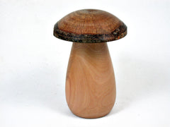 LV-3417 Red-Tip Photinia & Live Oak Wooden Mushroom Pill Box, Jewelry Box-SCREW CAP