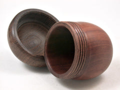 LV-3363 Manzanita & Brown Ebony Acorn Pill Box, Engagement Ring Box-SCREW CAP