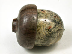 LV-3372 Buckeye Burl & Black Walnut Burl Acorn Jewelry, Pill , Trinket Box-SCREW CAP