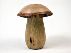 LV-3406 Threaded Mushroom Pill, Jewelry Box from Persimmon Wood and Golden Rain Tree