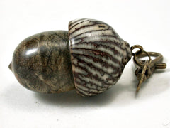 LV-3299 Buckeye Burl & Betelnut Acorn Pendant Box, Charm, Pill Holder-SCREW CAP