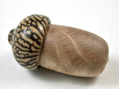 LV-3180 Satinwood Burl & Betelnut Mini Wooden Acorn Box, Jewelry Box-SCREW CAP