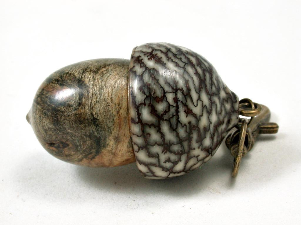 LV-3299  Buckeye Burl & Betelnut Acorn Pendant Box, Charm, Pill Holder-SCREW CAP