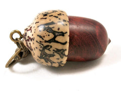 LV-3271 Logwood burl & Yollilo Palm Nut Acorn Pendant Box, Charm, Pill Holder-SCREW CAP