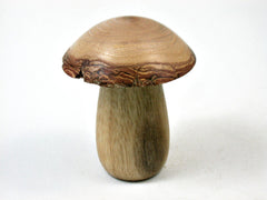 LV-3406 Threaded Mushroom Pill, Jewelry Box from Persimmon Wood and Golden Rain Tree