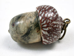 LV-3440 Acorn Pendant Box, Pill Fob from Buckeye Burl & Betel Nut-SCREW CAP