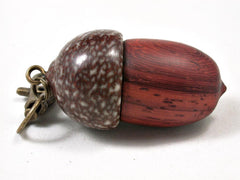LV-3270 African Padauk & Betelnut Acorn Pendant Box, Charm, Pill Holder-SCREW CAP