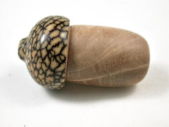 LV-3180 Satinwood Burl & Betelnut Mini Wooden Acorn Box, Jewelry Box-SCREW CAP